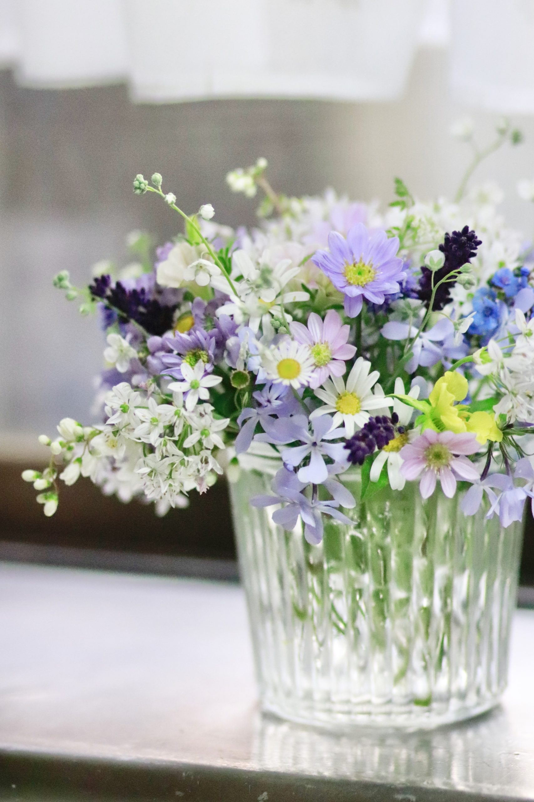 庭の小花達
